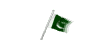 Bandera de Pakistan