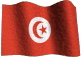 Bandera de Tunez