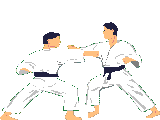 Karatekas