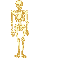Gif Esqueleto