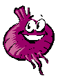 Cebolla