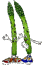 Esparrago