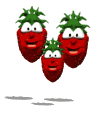 Fresas