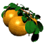 naranja