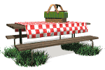 picnic