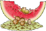 Sandia cortada