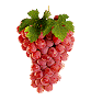 Uvas