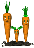 Zanahorias