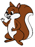 Ardilla