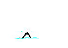 Ballena