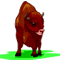 Bufalo