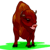 Bufalo