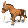 Burro