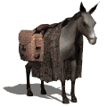 Burro