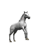 Caballo