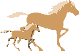 Caballos