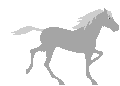 Caballo