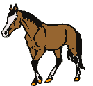 Caballo