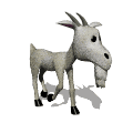 Cabra