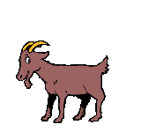 Cabra