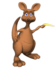 Canguro