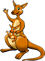 Canguro