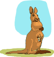Canguro