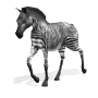 Cebra