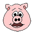 Cerdo