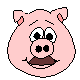 Cara de Cerdo