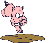 Cerdo