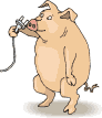 Cerdo