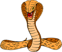 Cobra