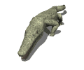 Cocodrilos