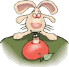 Conejo