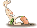 Conejo