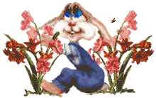 Conejo