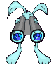 Conejo