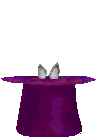 Conejo