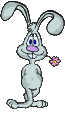 Conejo