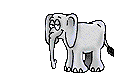 Elefante