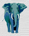 Elefante