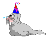 Foca