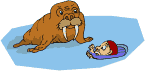 Foca