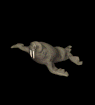 Foca