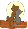 Gatos