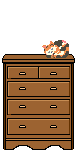 Gato