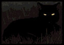 Gato