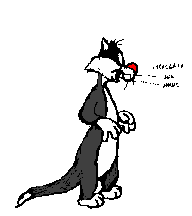 Gato