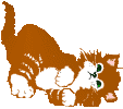 Gato